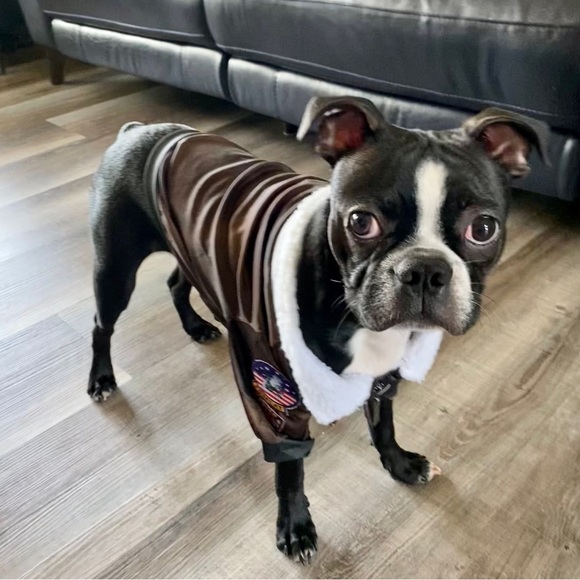 NWOT TOP GUN Maverick Officially Licensed Rubies Dog Halloween Costume S/XS Pup - Picture 1 of 7